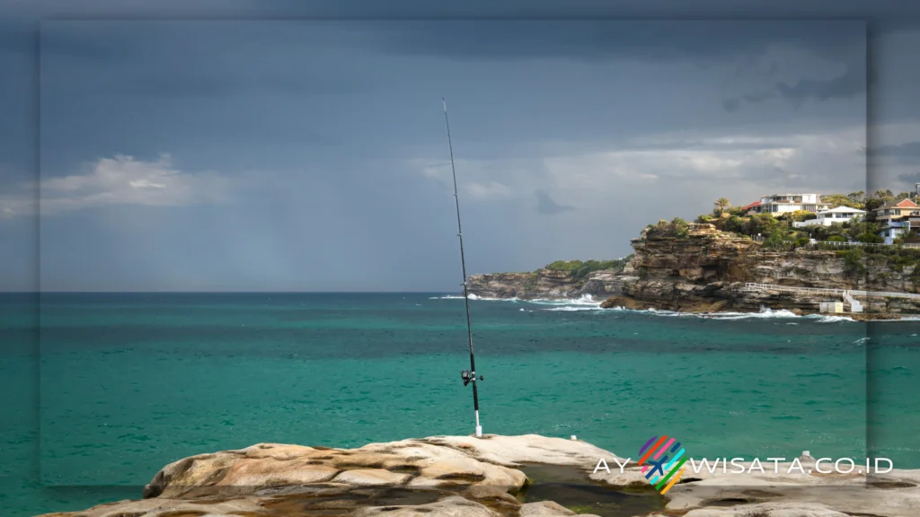 Tempat Paling populer Untuk Rock Fishing