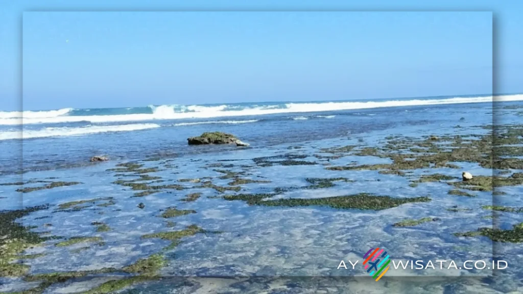 Mempunyai Karang-Karang yang Indah