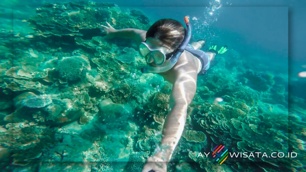 Snorkeling