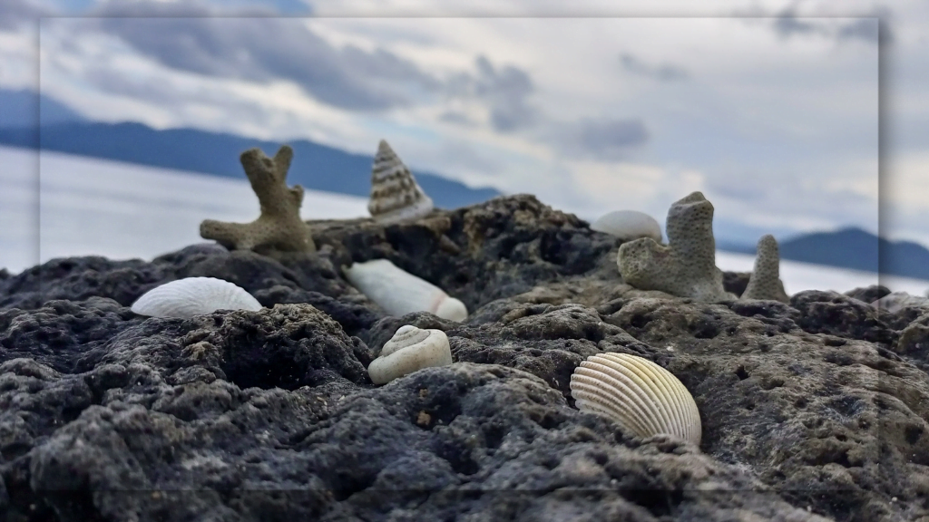 Dominasi Batu Karang di Tepi Pantainya
