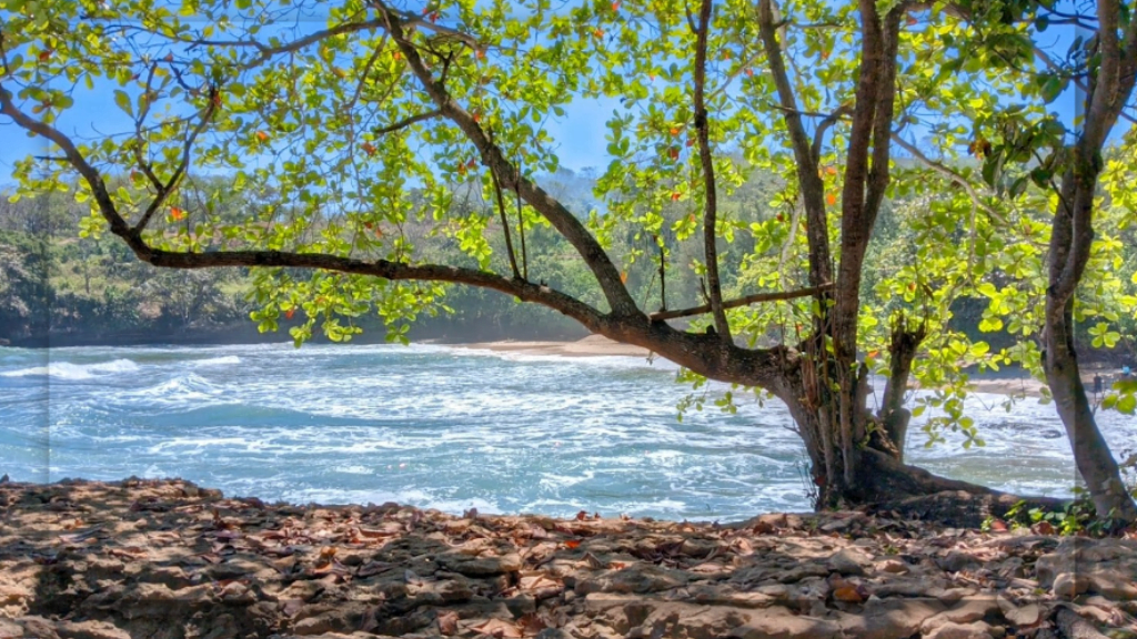 Pantai yang Masih Alami