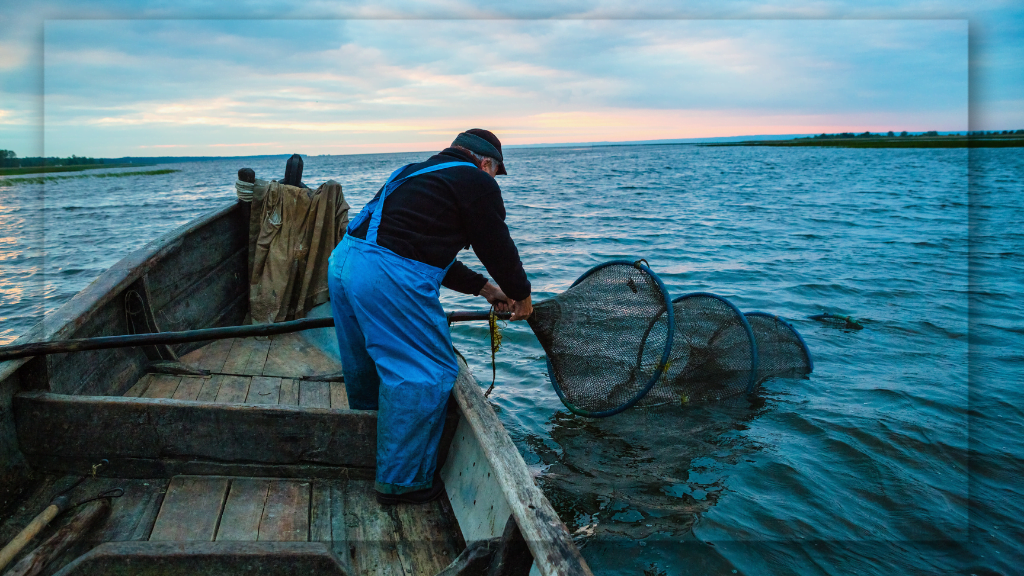 Menyaksikan Aktivitas Nelayan Menangkap Ikan