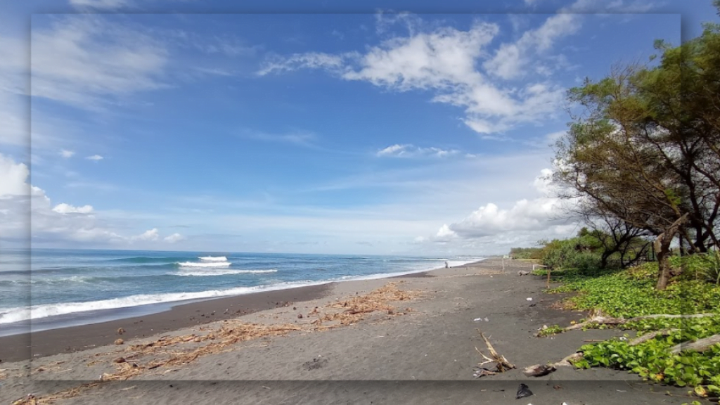 10 Aktivitas Seru di Pantai Trisik Yogyakarta: Daya Tarik Laguna dan Penangkaran Penyu