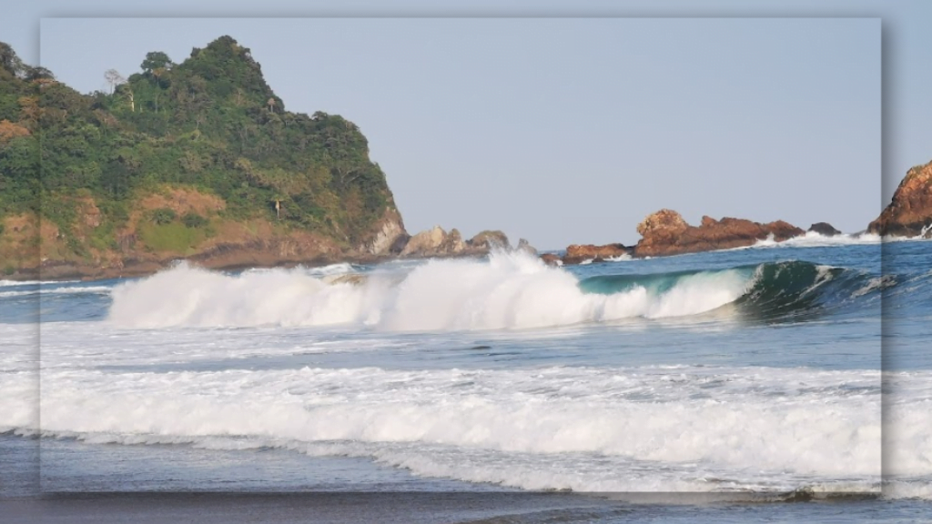 Daya Tarik Keindahan Pantai Sukamade di Banyuwangi