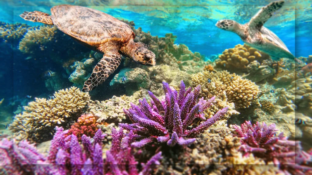 Keanekaragaman Hayati Bawah Laut