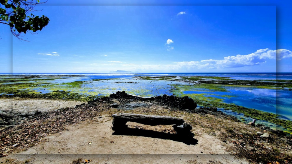 Keindahan yang Dimiliki Pantai Plengkung