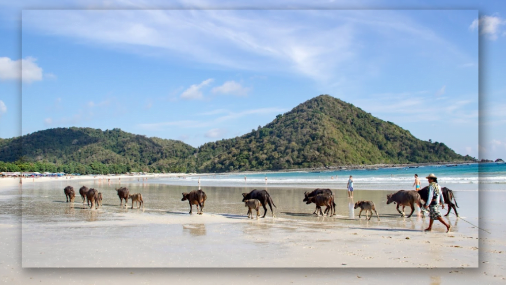 Mengenal Sejarah Pantai Selong Belanak di NTB