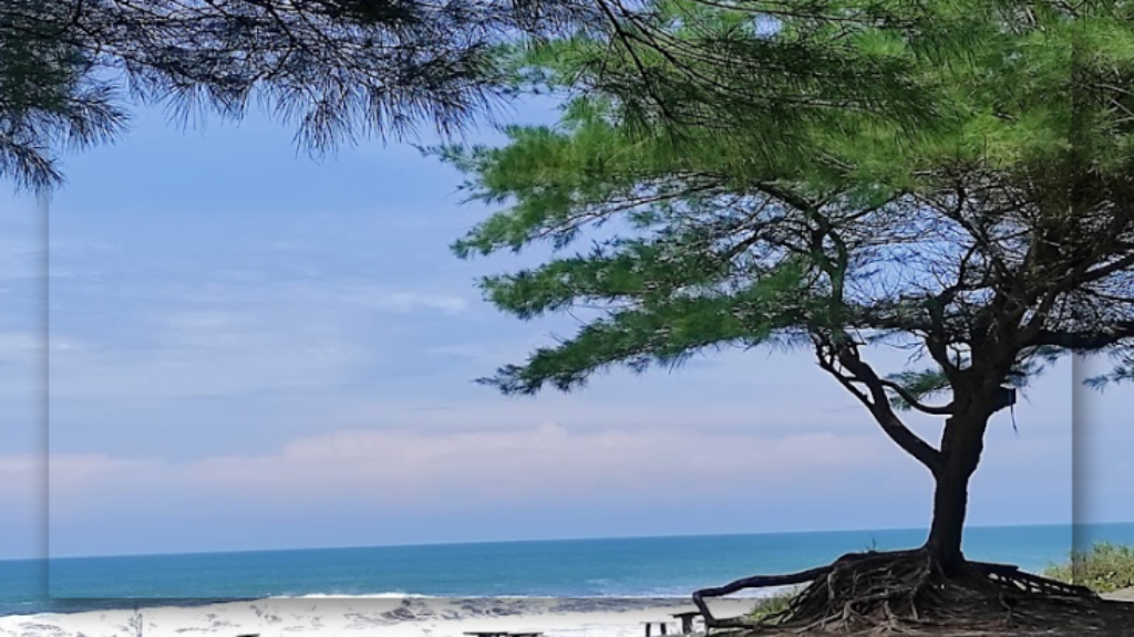 Air Laut yang Jernih dan Berwarna-warni