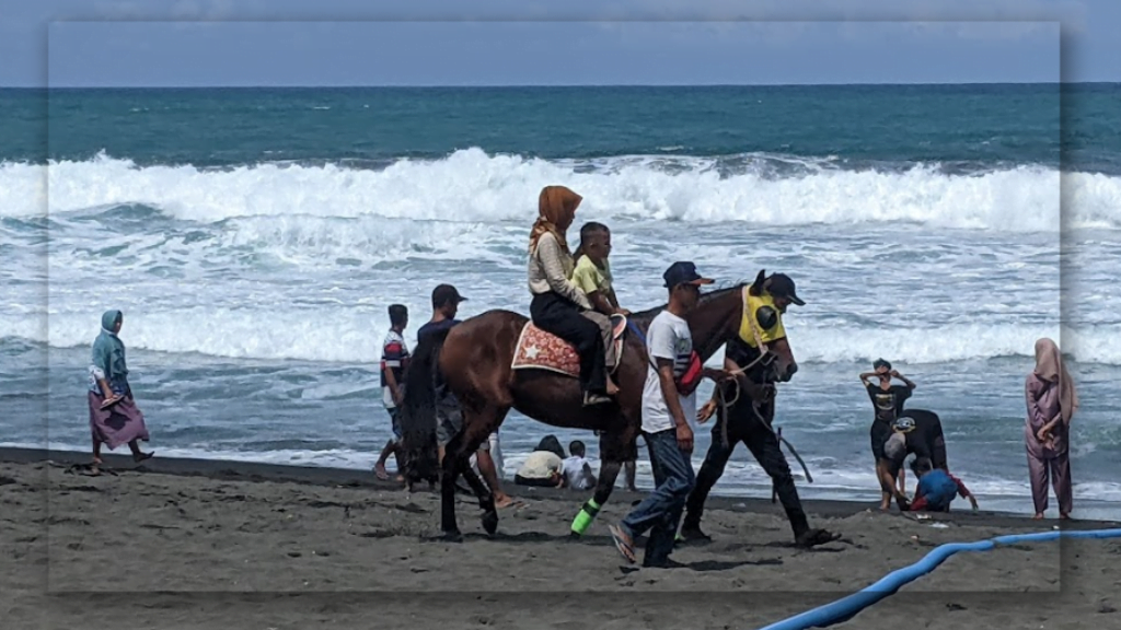 Aktivitas Seru yang Bisa Dilakukan di Pantai Mliwis Kebumen