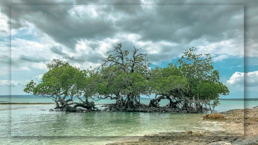 Daya Tarik Pantai Tablolong di Nusa Tenggara Timur