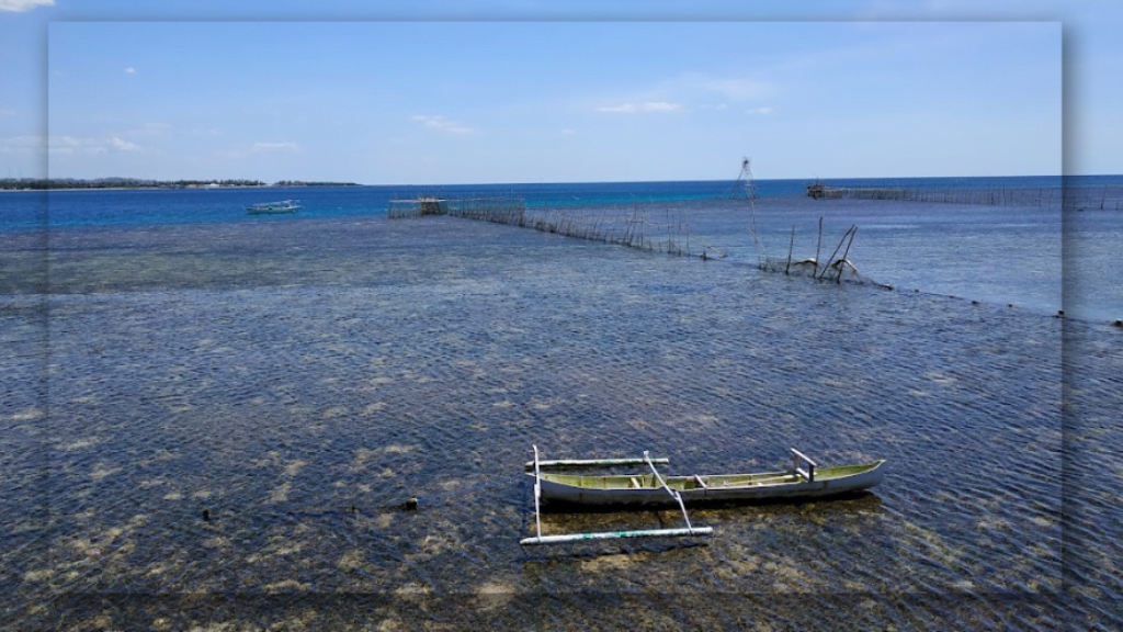 Terumbu Karang yang Memikat