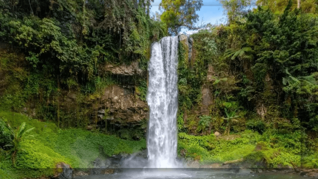 Air Terjun Sigerincing: Jambi Punya Keajaiban Alam yang Siap Membuatmu Takjub!