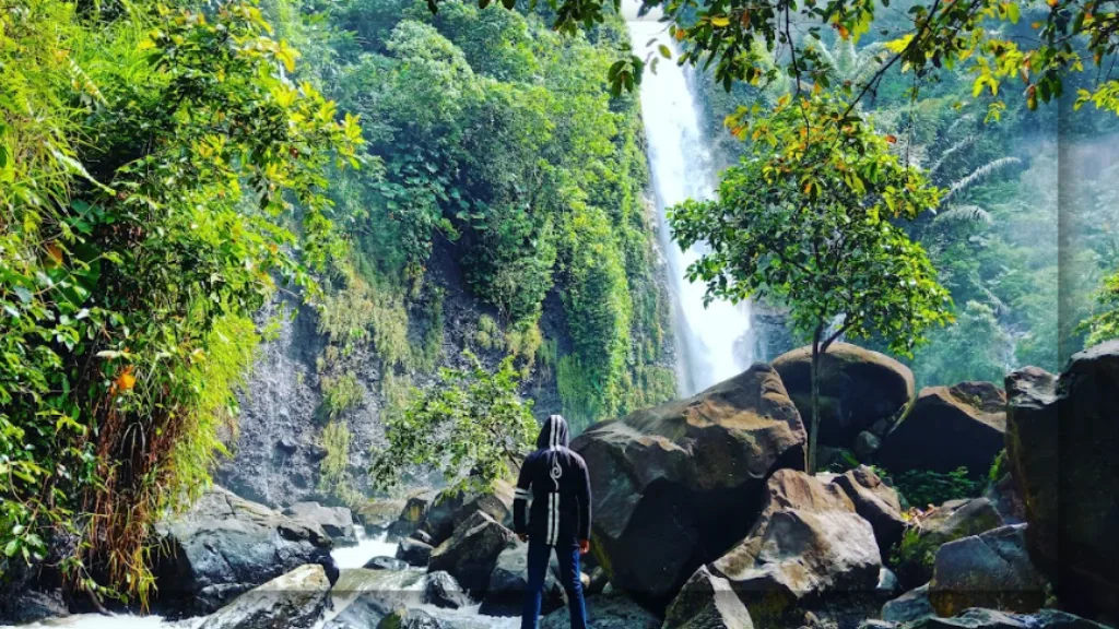 Keanekaragaman Flora dan Fauna