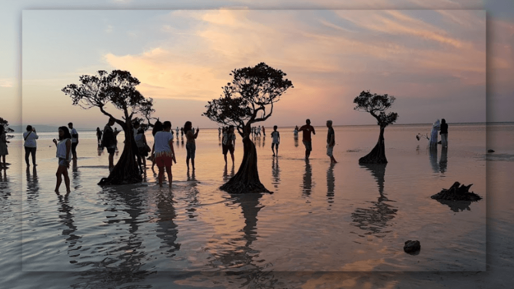 Sekilas Tentang Pantai Walakiri