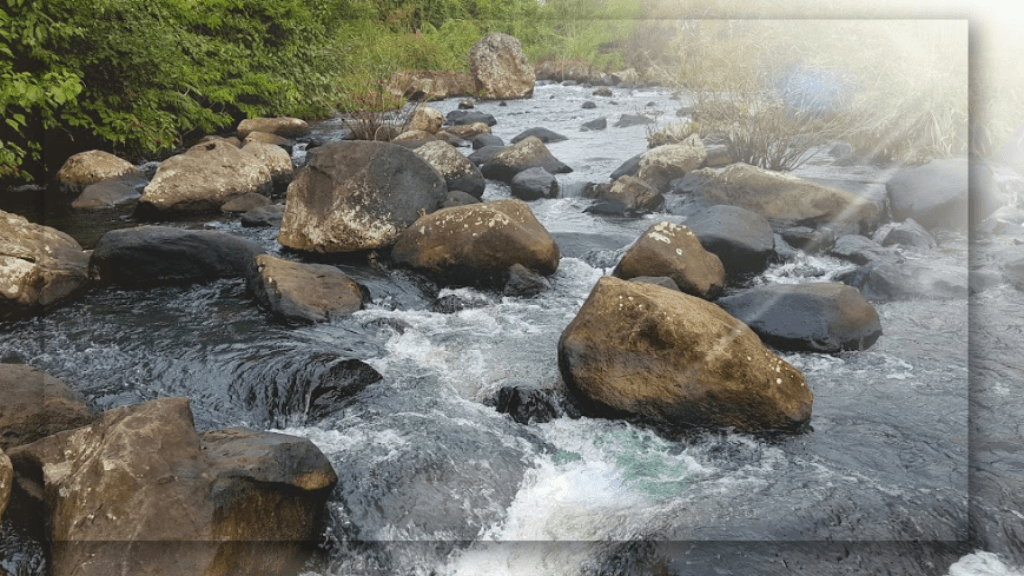 Trekking yang Menantang