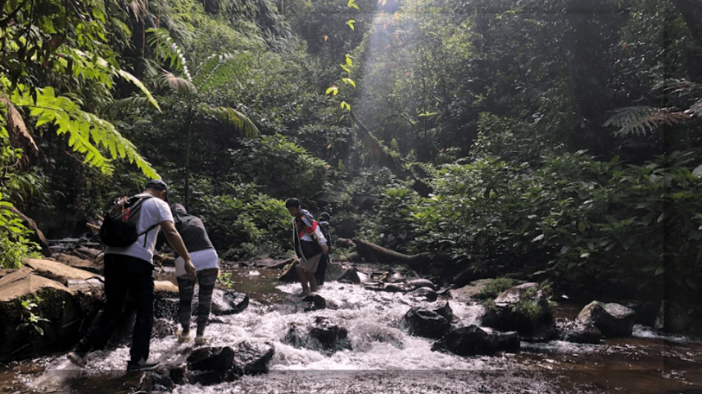 Aktivitas Trekking yang Seru