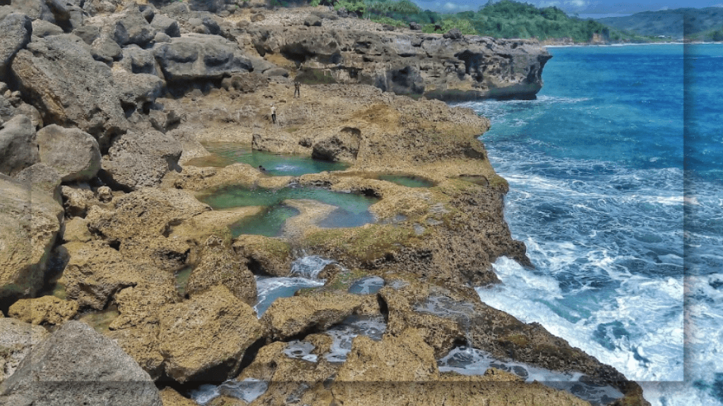 Daya Tarik yang Dimiliki Pantai Kedung Tumpang