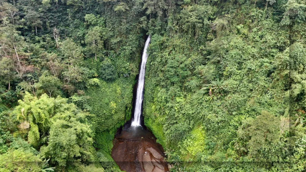 Air Terjun Munduk di Bali: Surga Tersembunyi untuk Liburan Anti-Mainstream