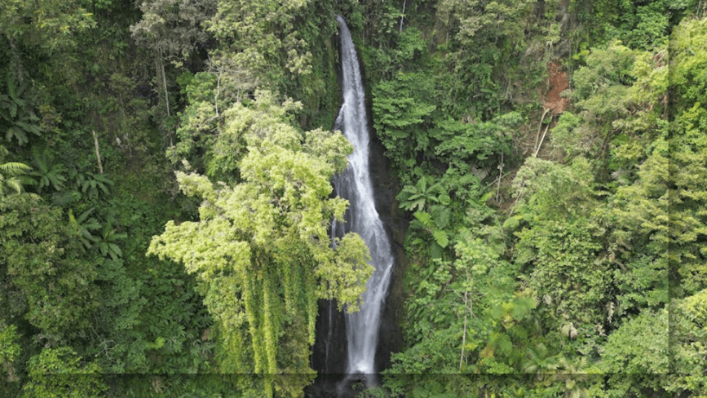 Keindahan Curug Cikaracak di Bogor: Lokasi, Harga Tiket Masuk, Jam Operasional dan Daya Tarik yang Dimiliki