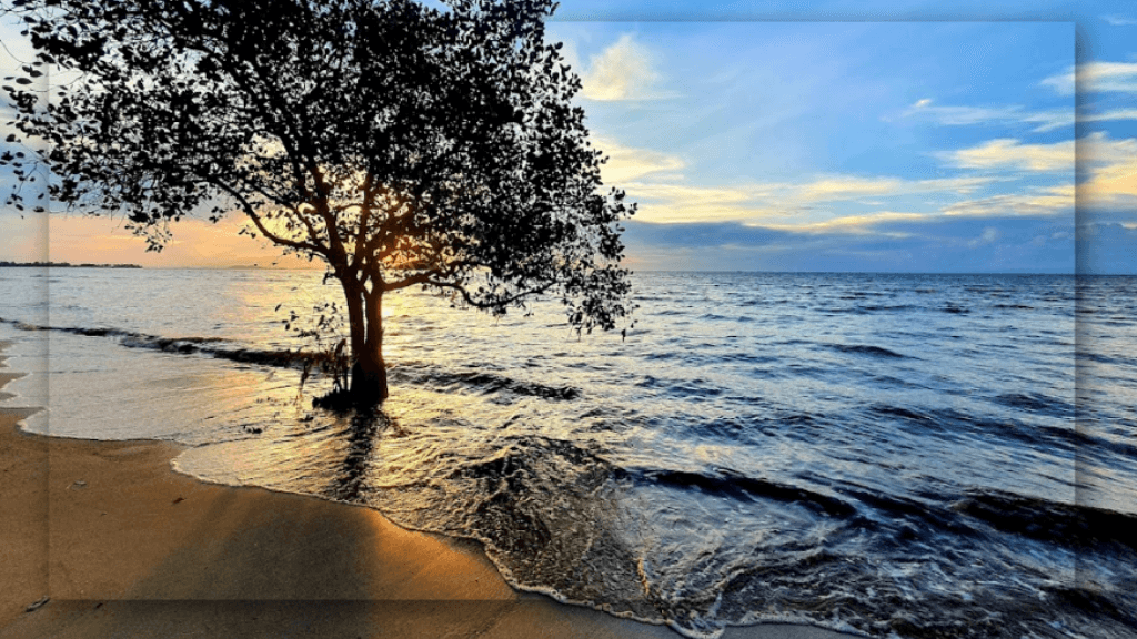 Pantai Tanjung Pendam: Surga Wisata di Bangka Belitung yang Memukau