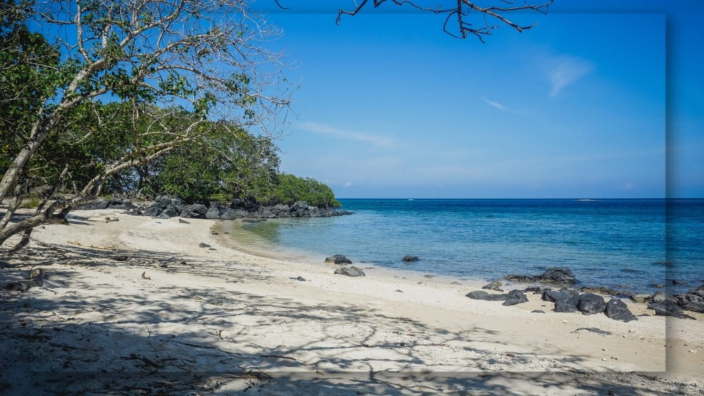 Eksplor Pantai Bama di Situbondo: 9 Aktivitas Seru yang Bikin Kamu Lupa Pulang!