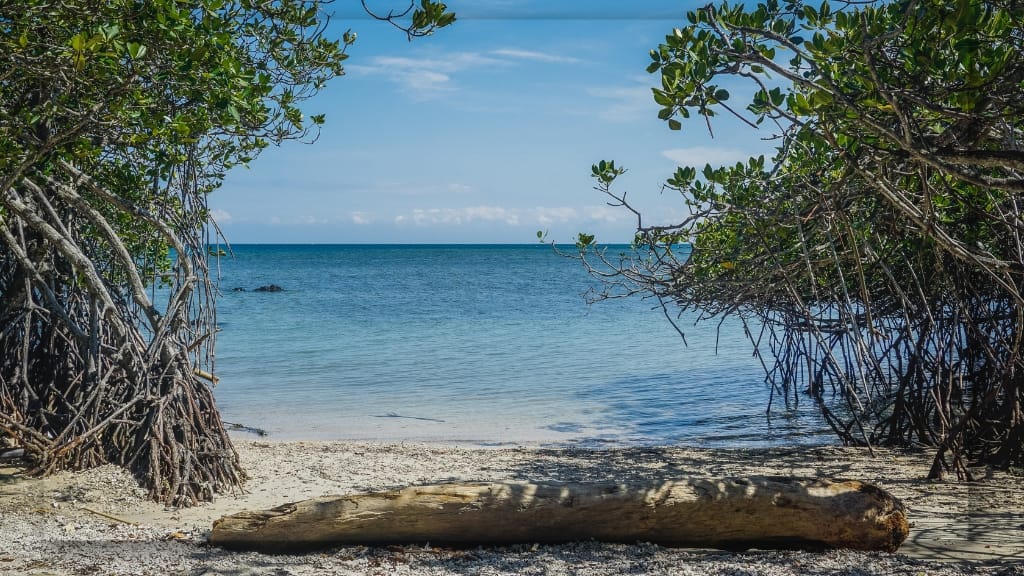 Sekilas Tentang Destinasi Wisata Pantai Bama Situbondo