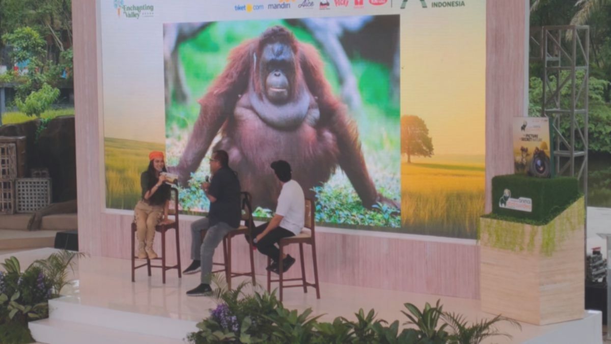 Menangkan Hadiah! Taman Safari Gelar Lomba Foto & Video Satwa Liar