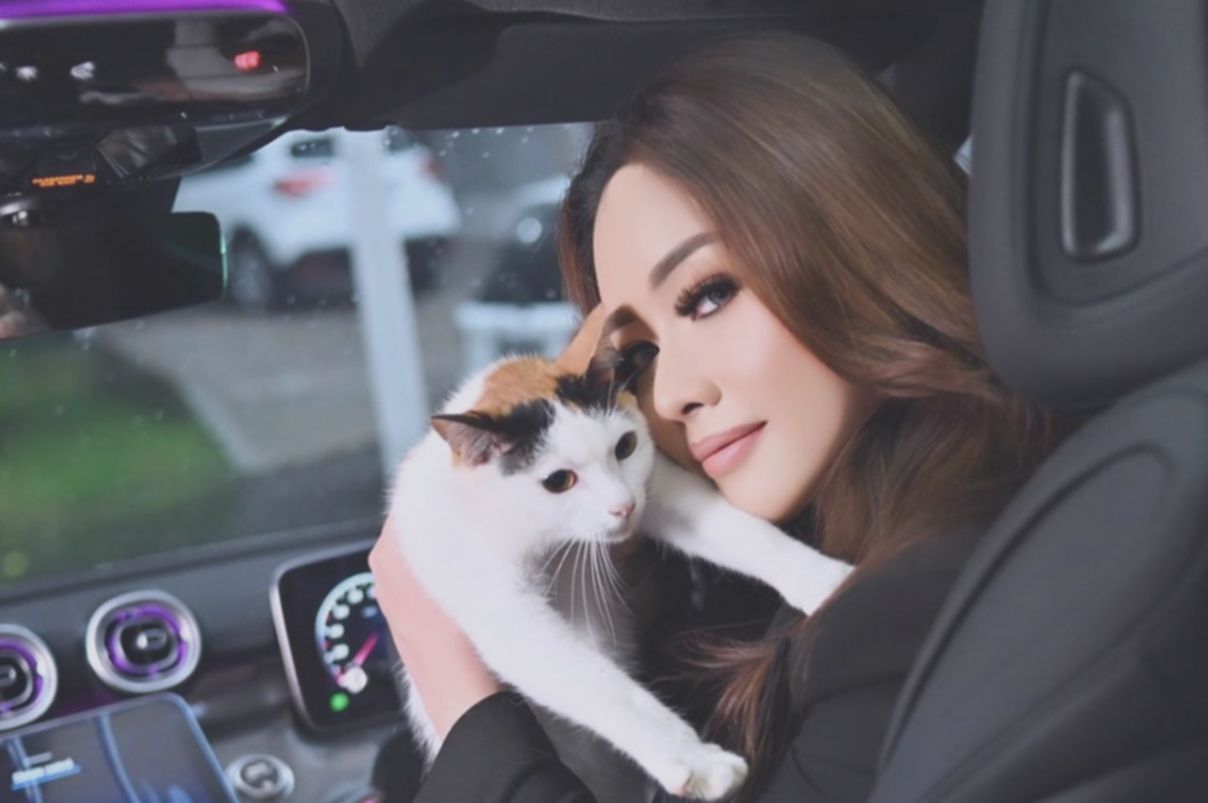 Tolak Wisata Pulau Kucing Kepulauan Seribu: Lirabica Ungkap Alasan!