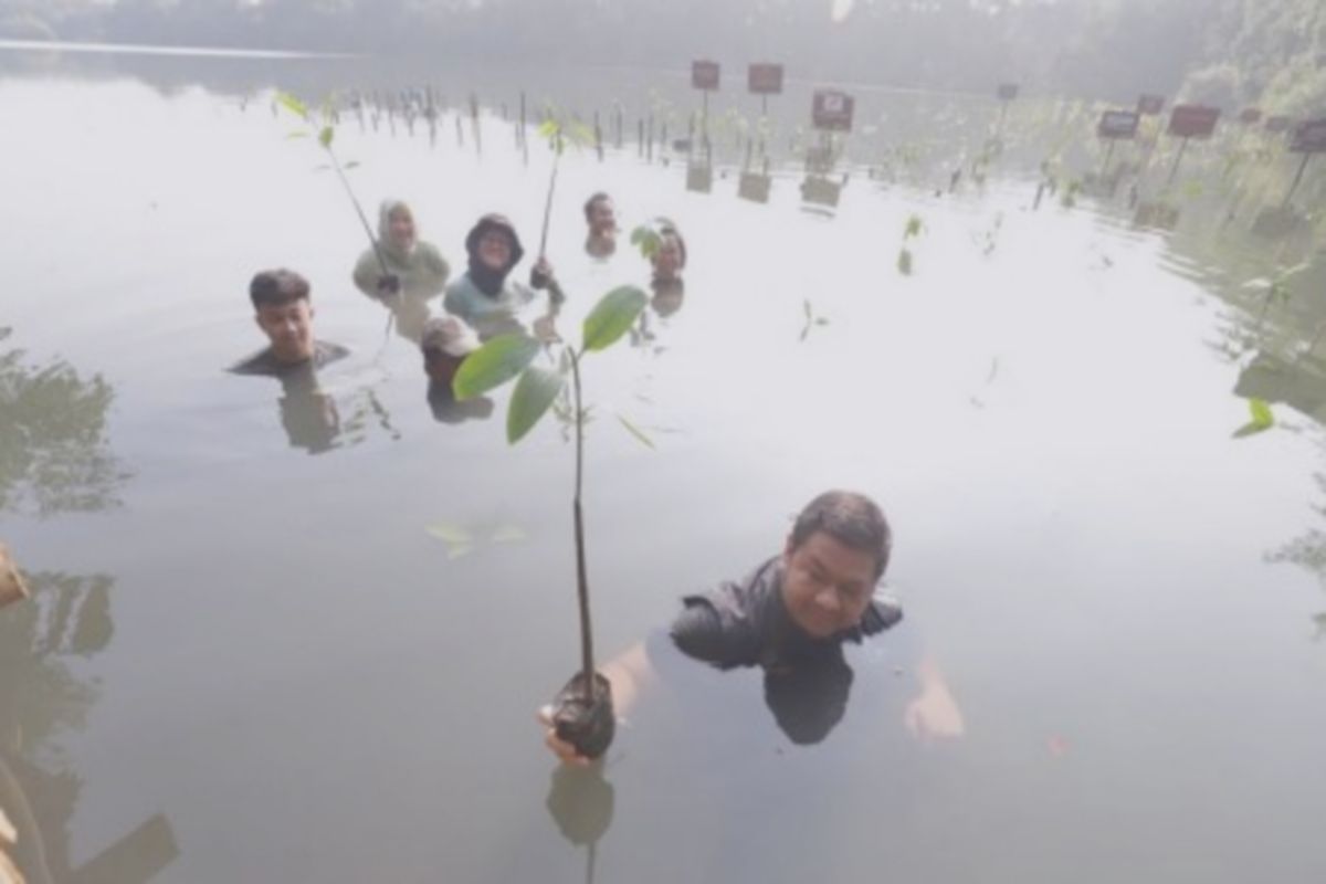 STC Heroes Lestarikan Lingkungan: Aksi Tanam Mangrove di Angke!