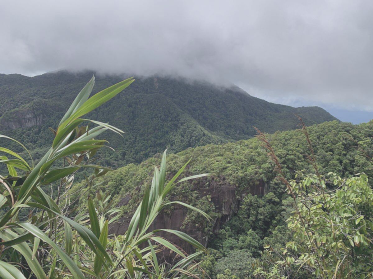 Seychelles: 5 Fakta Unik Negara Afrika Terkecil yang Wajib Tahu!