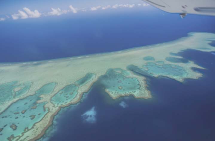 Great Barrier Reef: 5 Fakta Mencengangkan yang Wajib Kamu Tahu!