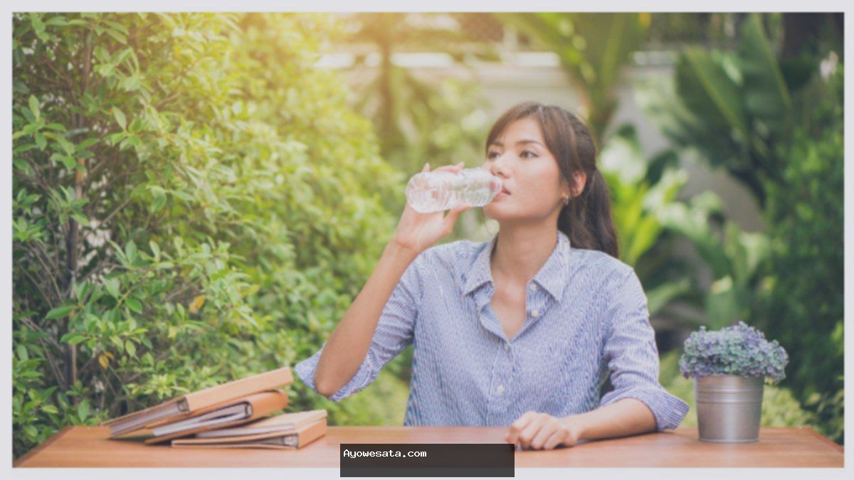 20 Minuman Segar & Sehat: Ide Non-Alkohol Terbaik untuk Dicoba!